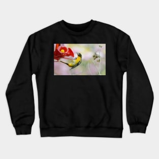 Agile Oriole Crewneck Sweatshirt